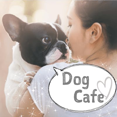 「貸切《癒し♡犬カフェコン》
同年代&お話好きの明るい性格」の画像1枚目