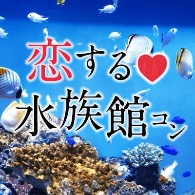 「同年代で楽しむ水族館コン♪
《アクアパーク品川》幻想空間で出逢う♡」の画像1枚目