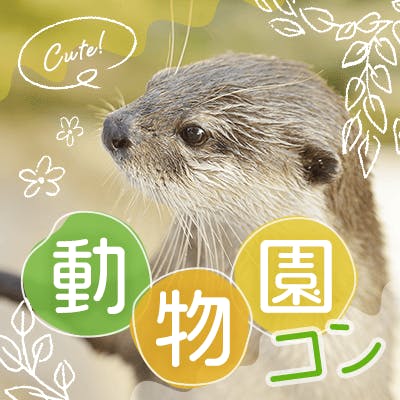 「《同年代☆》神戸どうぶつ王国de恋活」の画像1枚目